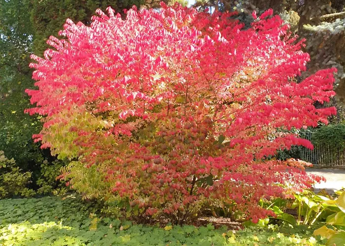 Apartment Panoramic *