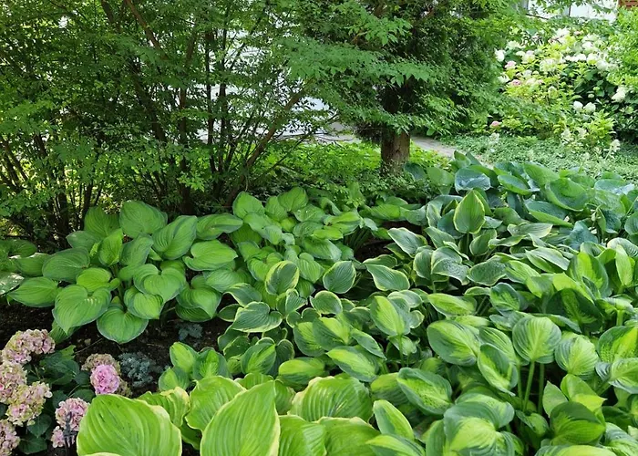 דירה Panoramic Balatonvilágos